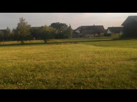 Wie laut sind Pfeile aus 140 m Entfernung?