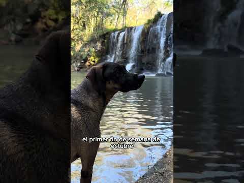 GOBERNADOR LÓPEZ 🥖🌿