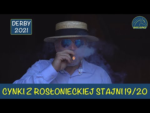 Cynki Adam Wyrzyk 19 i 20 dzień wyścigowy Nagrody Ofira Jurjewicza Prezesa Totalizatora Derby Novary