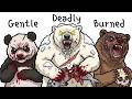 Every BEAR TYPE Explained In 26 Minutes