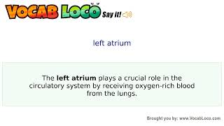 Video thumbnail for left atrium