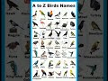 A to Z Birds names