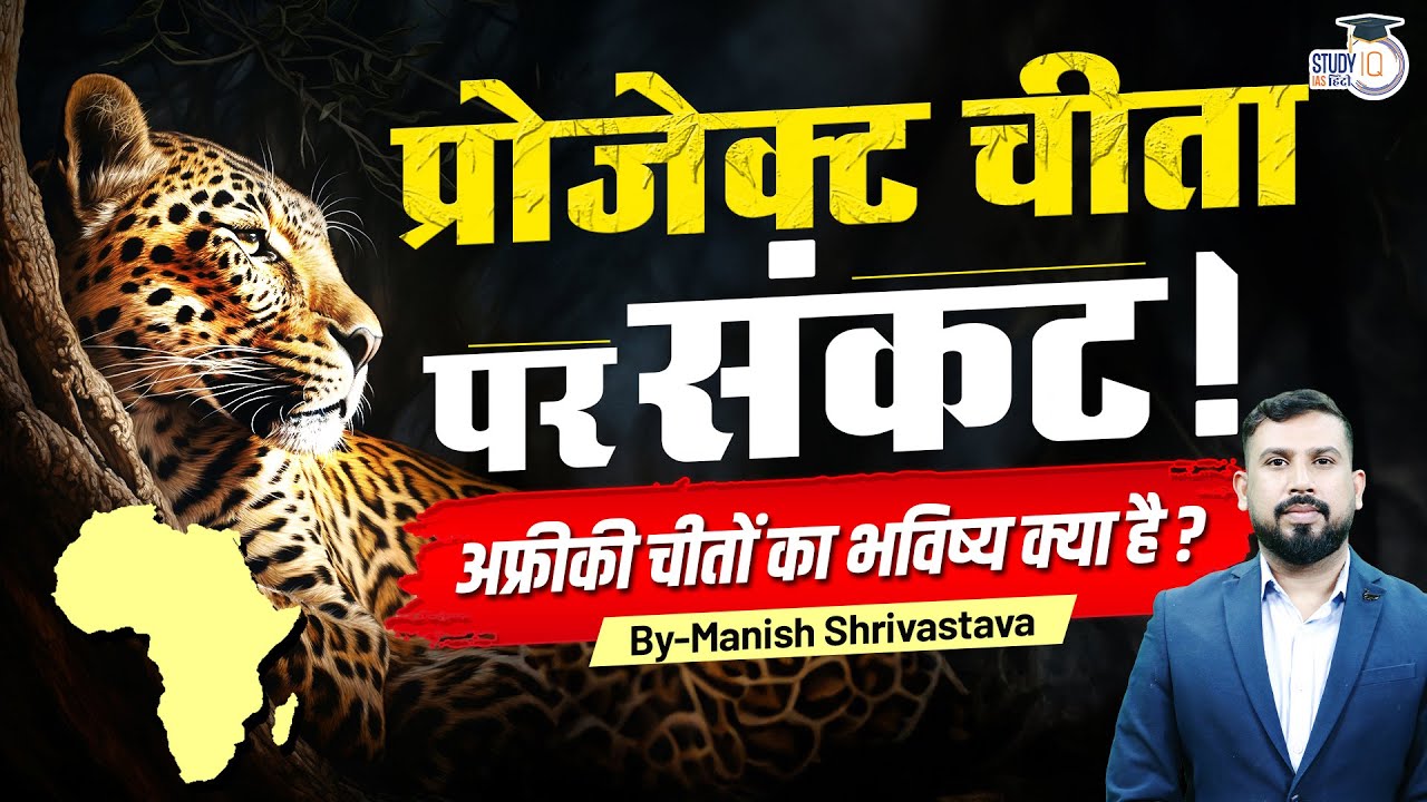 African Cheetahs in India: Current Status & Challenges | Manish Shrivastava