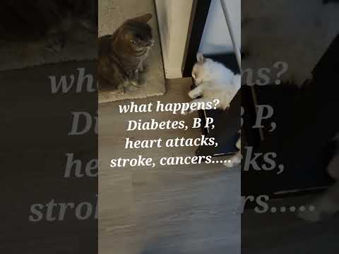 Dr Shaheena- Health Coaching: How to reduce  low-grade inflammation.