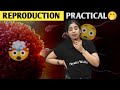 Samriddhi Mam Reply On Reproduction Practical Biology Class 10