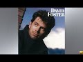 David Foster - Flight Of The Snowbirds [HQ]