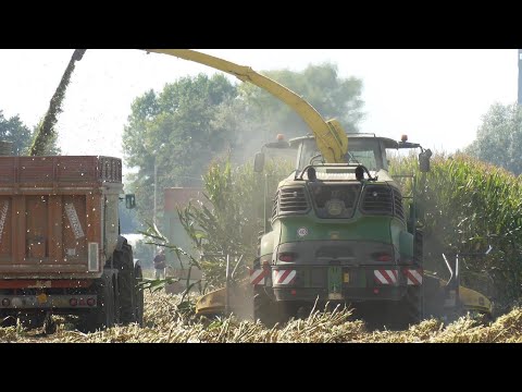 Trinciato mais 2020 / Corn silage 2020 / John Deere 9700i / Kemper 460 Plus / F.lli Vitali
