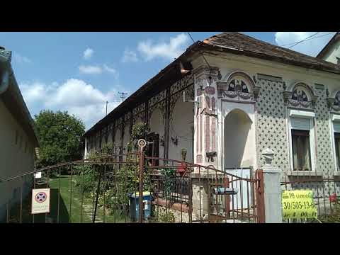 Máté Péter-Parasznya Rövidfilm