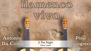 Flamenco Vivo - 2 The Night