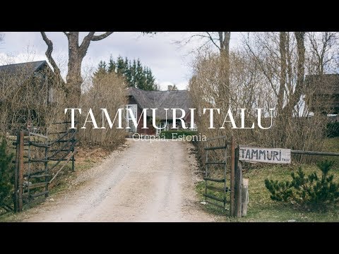 Tammuri Tali • Otepää, Estonia • Chevrons & Éclairs