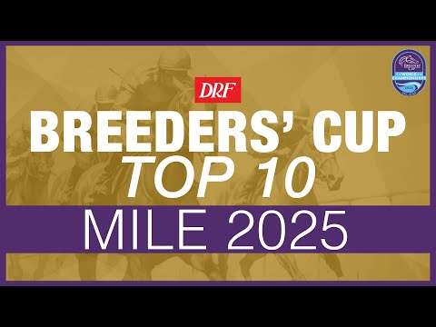 Breeders' Cup Top 10 | Mile 2025