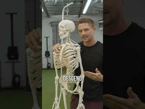 Belly Breathing Is Not Diaphragmatic Breathing