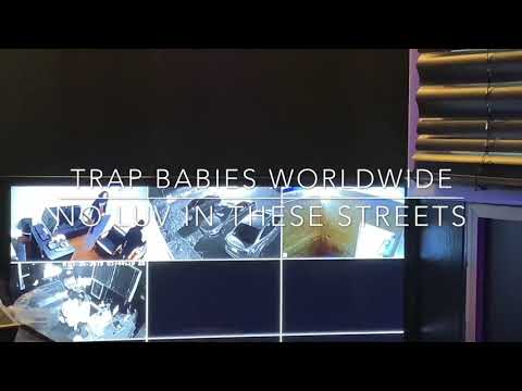 TRAP BABIES WORLDWIDE x NO LUV IN THEZE STREETZ (FREE TRAPBABY LOKO)