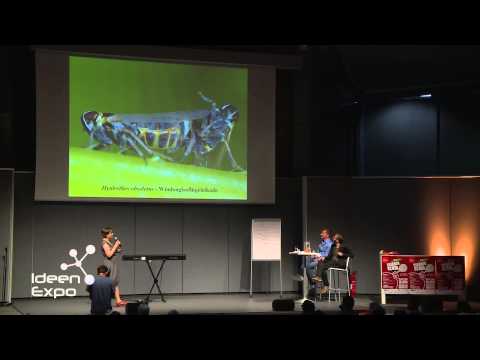 Science Slam Finale auf der IdeenExpo - Susanne Grube