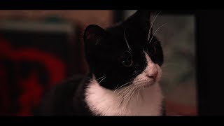 새벽공방 (SBGB) - 밤수성 Night Mood [Music Video]