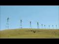 Fatal Attraction Birds And Wind Turbines KQED QUEST