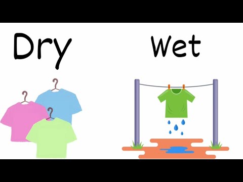 Learn Dry And Wet |learn opposites Dry and Wet | difference for kids