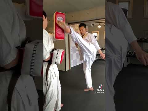 【空手の蹴り技 教室】ノーモーションの左上段まわし蹴り