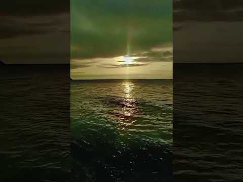 Mariachi pura sangre acompañado del trío azul bohemia  @marcomendezcompositor 