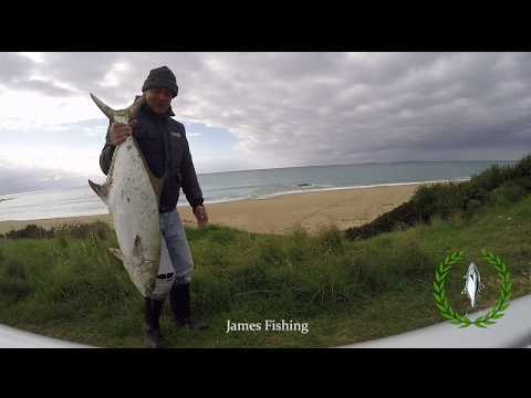 sea bass!live strike!