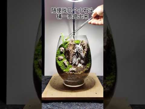 苔蘚