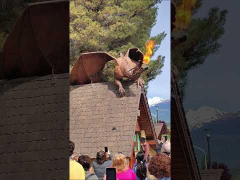 Dragón Galés Trevelin Chubut🏴󠁧󠁢󠁷󠁬󠁳󠁿🇦🇷 #shortvideo #shorts #short #chubut #trevelin #wales #argentina