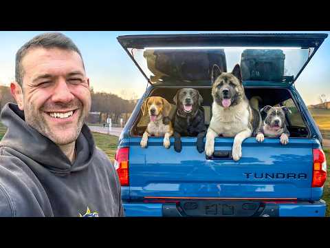 Rescuing 4 Dogs With Heartworm Disease