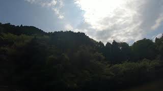 平瀬彪 撮影　サイトフィッシング