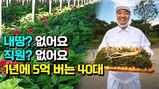 직원 없이 일년에 5억 버는 인삼 농사 난이도는?