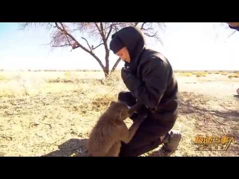 【韩庚HanGeng】《极速当事人》第二季第七期