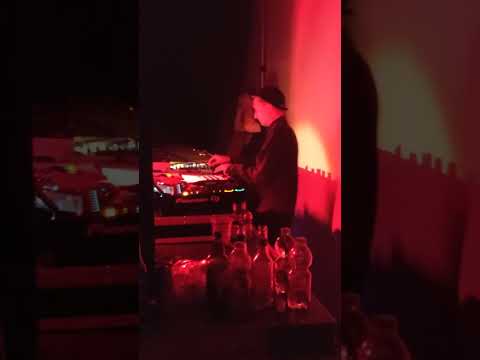 Alpha Steppa live Kraków 2022