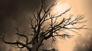 Thyrfing - Host [HelheimPaganArt Channel]