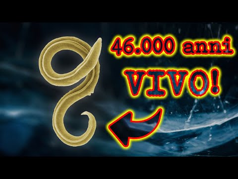 Scongelato dopo 46.000 anni