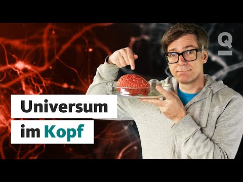 Was das Gehirn so besonders macht | Ralphs Universum | Quarks