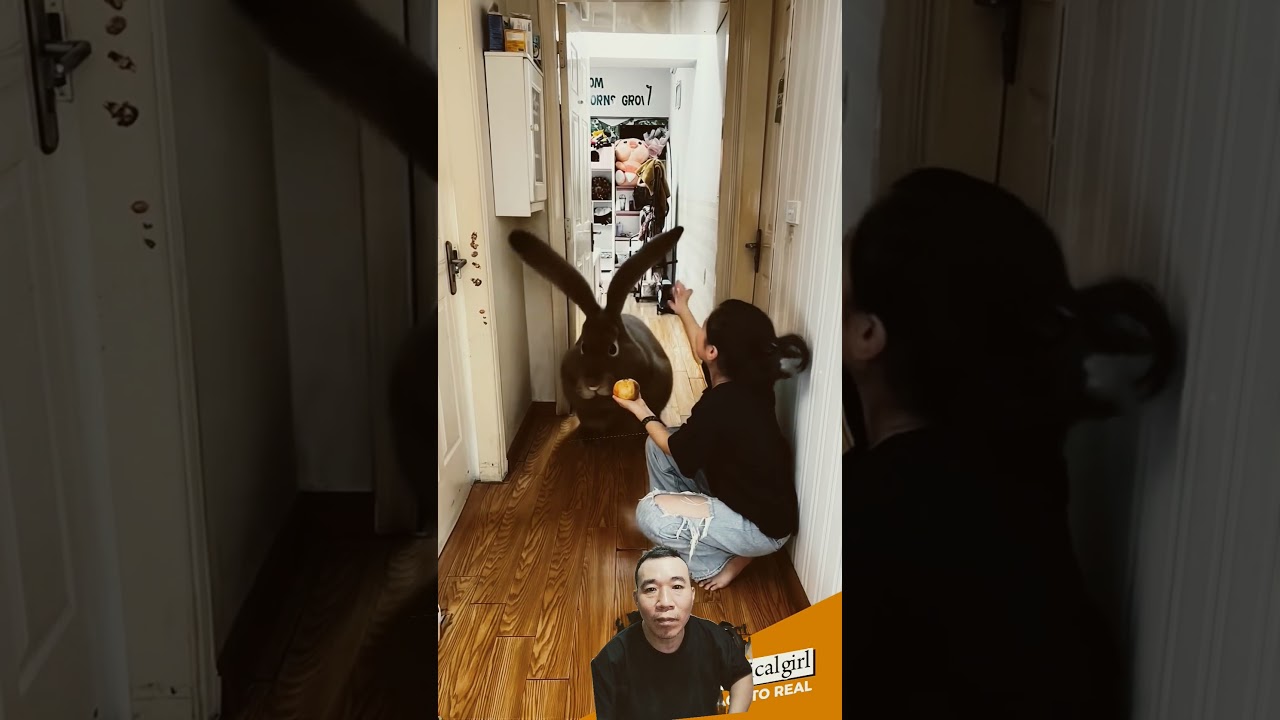 Big bunny #rabbit #rabbits #rabbitlife #ai #funny #aivideo #aiart #pets #videoshort #cute