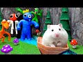 Hamsterious Got Hunted By All Monsters In RAINBOW FRIENDS MAZE