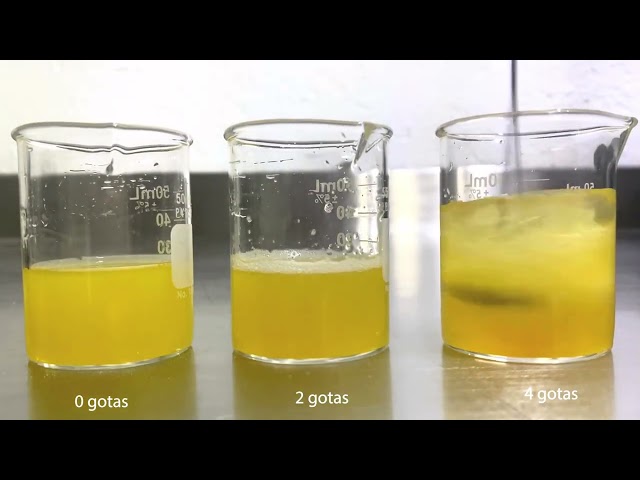 imagen-video-thefoodtech