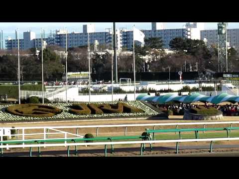 【競馬】2013.12.22　第58回有馬記念 - The Arima Kinen (58th The Grand Prix)