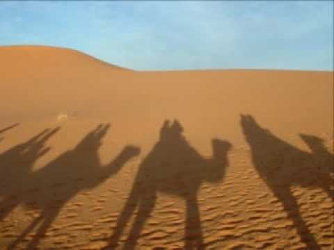 Orha Ba'Midbar - Caravan in Desert 