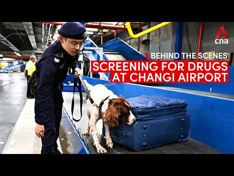 Screening for drugs at Changi Airport: Behind the scenes