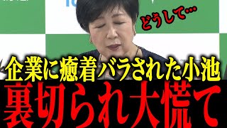 【さとうさおり】※小池、癒着企業に裏切られ都議会でバカにされる【佐藤沙織里 消費税 東京都議会本会議】