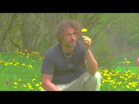 die sauna - wusstest du (offizielles video)