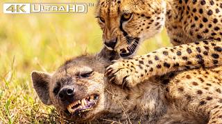 Deadliest Animals Fight for the African Throne… The Winner Will Shock You | Wildlife 4K