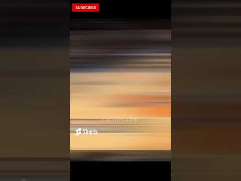 IVERSON THROWS BALL AT THE REFEREE AND FAKE #shorts