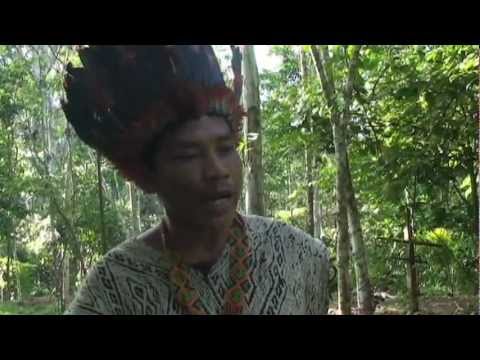 Projetos Huni Kuin e Yawanawa 2011