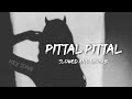 Pittal Pittal Slowed And Reverb