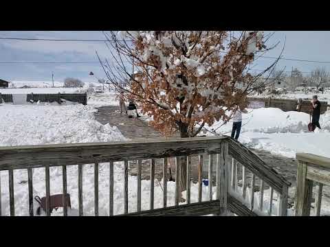 Blizzard 2021 Longmont Colorado