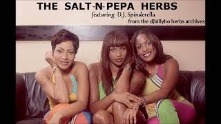 Salt n Pepa - Solo Power Syncopated Soul (Herb Instrumental) Hurby Luv Bug