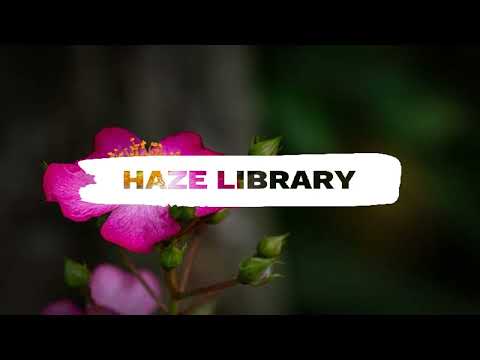 Walpurgisnacht Hexentanz - Beltane Dance of the Witches - Thunderstorm - No Copyright and Royalty Fr