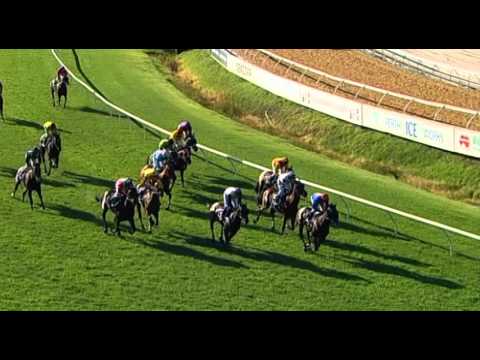 Ascot, 20/02/2016 - Race 8 - MIKI TWO TOES - Anne King